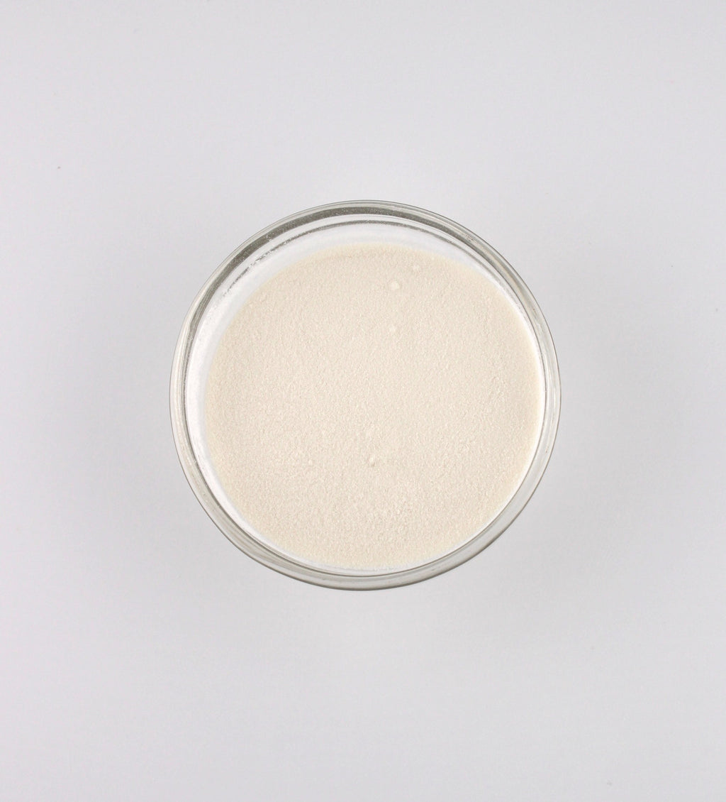 Buy Aloe Vera Powder 200x